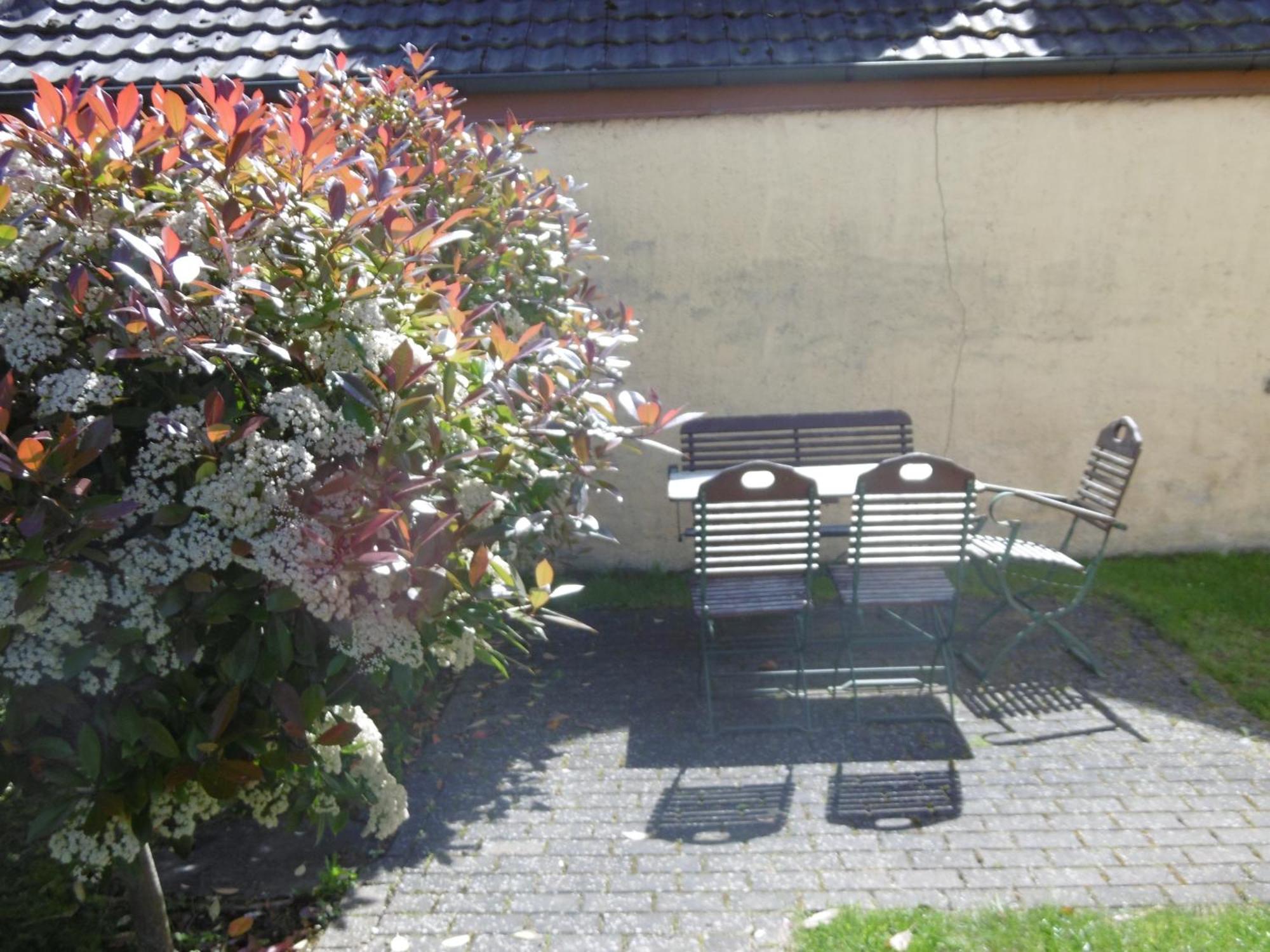 Ferienwohnung Ettenheim Esterno foto